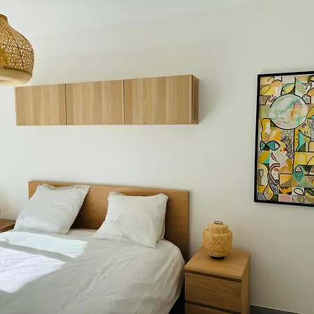 Aya - Renovated Air-conditioned Duplex With Garden Nizza