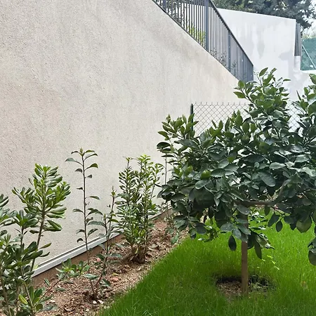 Aya - Renovated Air-conditioned Duplex With Garden Апартаменты Ницца
